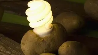 How to get electricity from potato 🔴🔴🔴 TUTORIAL