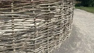 Coppicing In Rural Oregon- Sustainable Forestry For Craft Projects