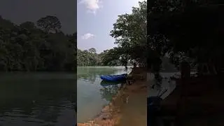 Budget for Dandeli.