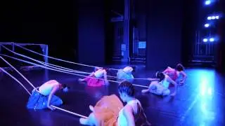 2014 - The Journey of DPA Apprentice Team & dTEAM Dancers