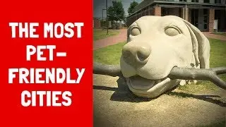Raleigh / Durham - The Most Pet-Friendly Cities
