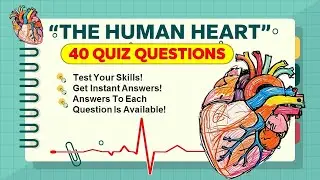 Heart Quiz || 40 Questions With Answers || Test Yourself! || The Human Heart