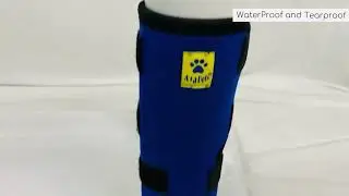 Help Your Dog Walk Comfortably Again 🐶❤️ Hock Joint Support Brace for Pain & Recovery