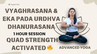 Quads Strengthening session with Vyaghrasana, Eka Pada Urdhva Dhanurasana