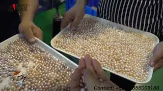 AMD Pearl Color Sorter Machine/Different Color Pearl Sorting Machine