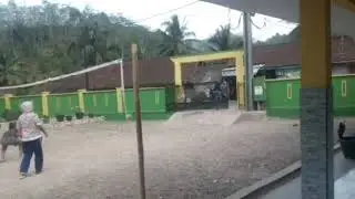 volyy ball