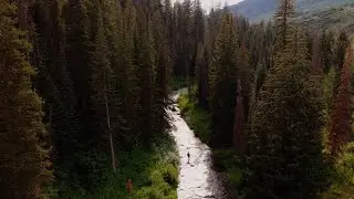 IF4 Official Selection - Native Range Trailer