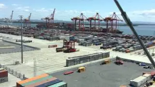 Robots and humans moving shipping containers at the Port of Brisbane