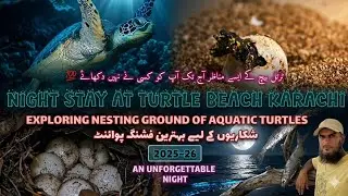 A Night at Turtle beach Karachi 2025