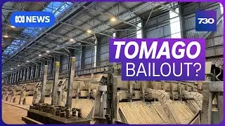 Алюминиевый завод Томаго сталкивается с неопределенным будущим | 7.30