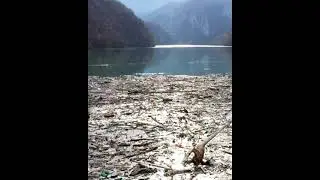 Is this what you want to see? 🌍 #endplasticwaste #plasticfreefuture #plasticwaste