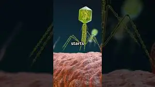 Unlocking the Secrets of Lac Operon!