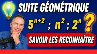 Démontrer qu'une suite est géométrique • Exercice IMPORTANT • Première S ES STI
