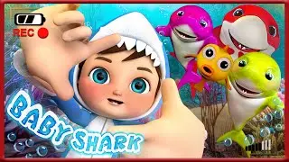 Baby Shark Family Song! - Nursery Rhymes & Kids Songs By Coco Mama Nursery Rhymes