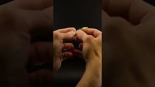 Micro Rigging on the Guppy GrubZ