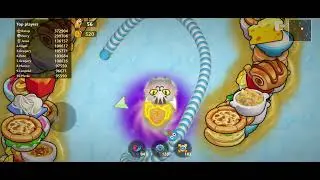 Cat head snake adventure
