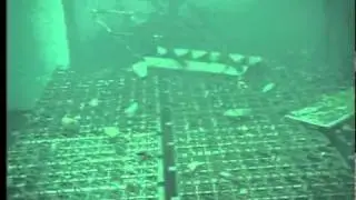 Fukushima Daiichi Nuclear Plant Spent Fuel Rod Pool Unit 4