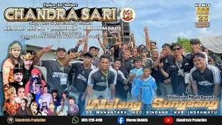 🔴Live Siang Chandra Sari | UNJUNGAN MBAH BUYUT WALANG SUNG SANG | KAMIS 23 -10 - 2025 | Wanantara |