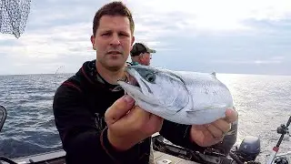 Fishing Lake Huron for Salmon and Trout
