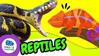🐍 REPTILES | Characteristics, Fun Facts & Types! | Educational Video for Kids | Happy Learning