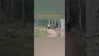 Treetop Adventure Western Sydney Australia.