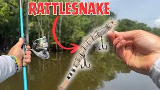 2 Days Eating Only What Catch On A Snake Lure!!