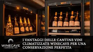 I Vantaggi delle Cantine Vini Climatizzate WineCave per una Conservazione Perfetta
