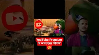 YouTube Premium के जबरदस्त फीचर्स 😍 | Song चलाकर भी वीडियो देखें | Offline + Background Play