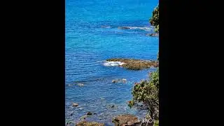 A summer day in the coromandel 