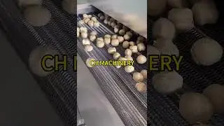 Soya meat soya chunk making machine processing line, vegetarian soya meat machine