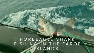 porbeagle shark fishing in the Faroe island