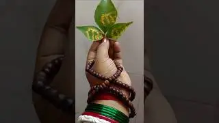 #happysawan #somvari prasad#harharmahadev #youtubeshort#shortsfeed #trendingshort#bholenath#shorts