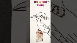 King fisher drawing #art @z craft and drawing