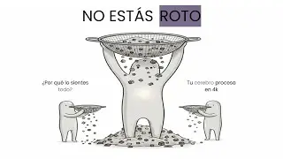 No eres 