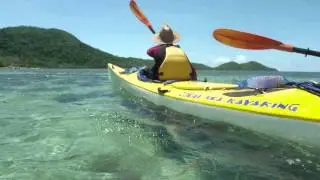 Anthony's Paradise
