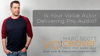 Is Your Voice Actor Delivering Professional Audio?