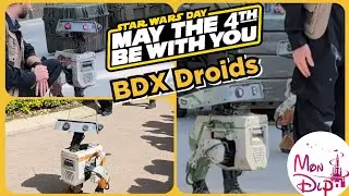 les droïds BDX sont arrivés à Disneyland Paris pour la Star Wars Day #maythe4thbewithyou #maythe4th