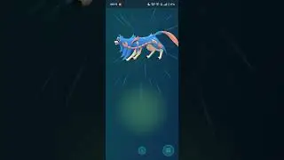 Lucky Hundo Crown Zacian #pokemon #pokemongo #zacian #luckypokemon #pok&eacute;mon #legendarypokemon