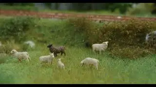 FALLER -  Klangerlebnis! 🐑🔊 Figuren-Set mit Mini-Sound-Effekt Schafe