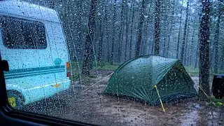 Heavy Rain ASMR on Tent & Car Roof | Cozy Rain Sounds for Sleep