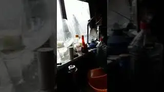 Скромный ужин охотника