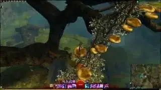 Guild Wars 2 Hidden Garden Jumping Puzzle Achievement Guide