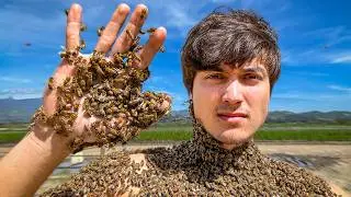 I Survived 10,000 Bees