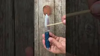 5 Benefits of a Chisel ￼Grind Knife  #edc #youtubeshorts #shorts