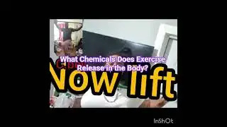 What Chemicals Does Exercise Release in the Body?