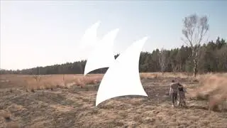 Lost Frequencies - Reality