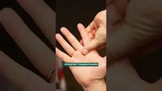 За что отвечает КАЖДЫЙ ПАЛЕЦ? #здоровье #массаж #ладонь