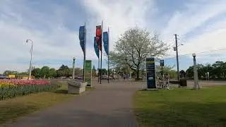 Commuting through Queen Elizabeth Driveway and Commissioners Park Full of Tulips