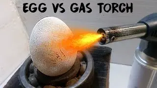 Egg Vs Gas Torch ( Experiment )