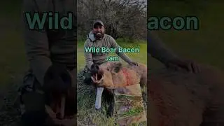 Epic Wild Boar BLT Recipe #cooking #recipe #hunting #food #wildgamecooking